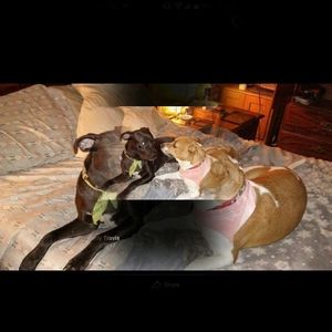 Meet your Posher, Judy